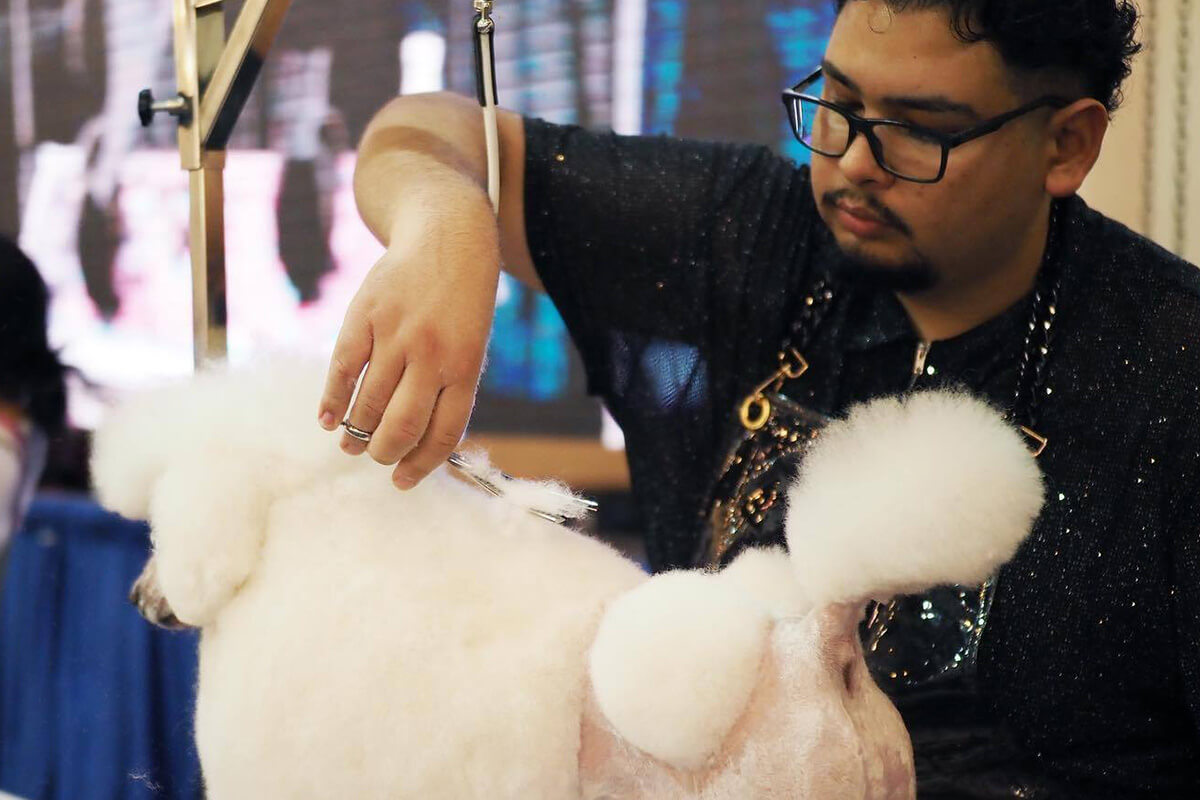 Full Grooming nail trim