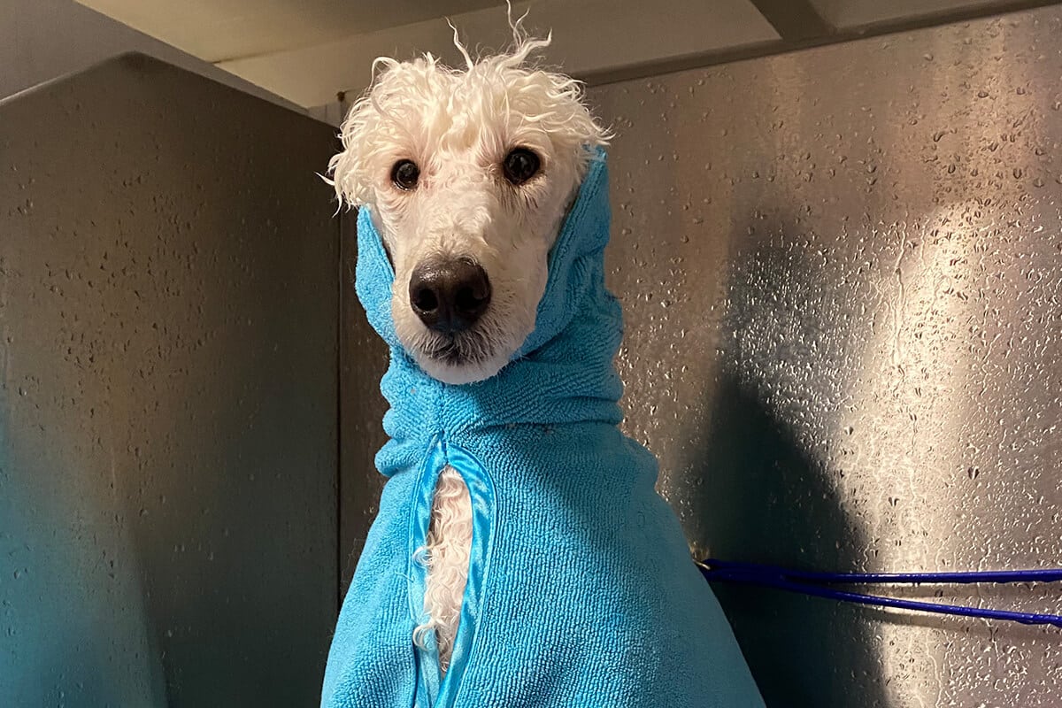 bath
