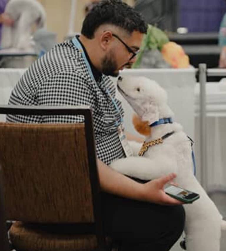Groomer at a Grooming competition
